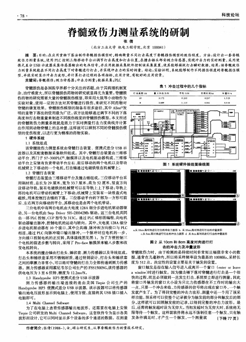 脊髓致伤力测量系统的研制