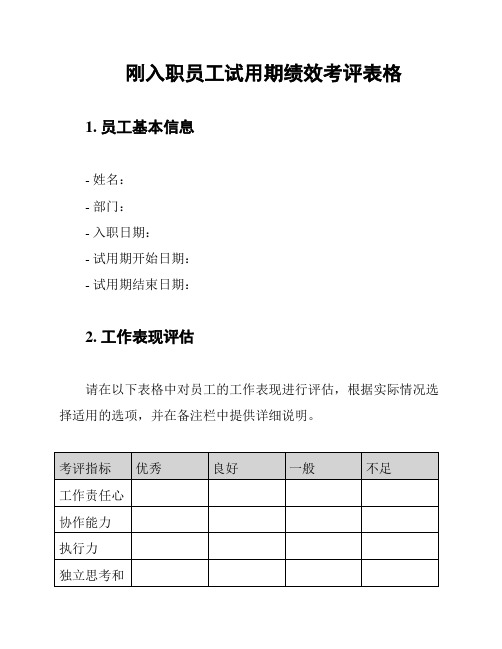 刚入职员工试用期绩效考评表格