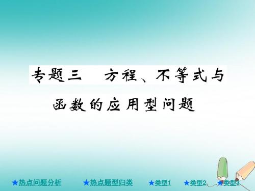 2018年中考数学总复习第二部分重点专题提升专题三方程不等式与函数的应用型问题课件