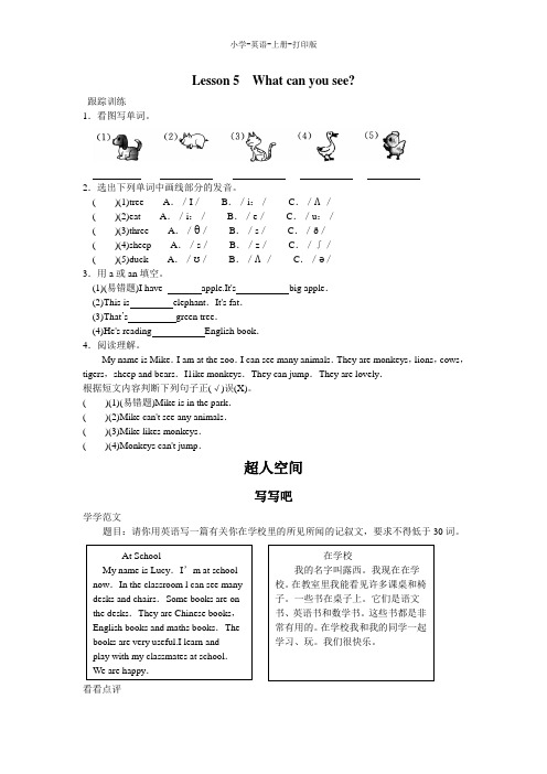 科普版-英语-四年级上册-4A Lesson 5  What can you see  跟踪训练(part2)(含答案)