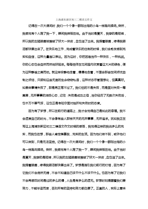 上海浦东新区初三二模语文作文