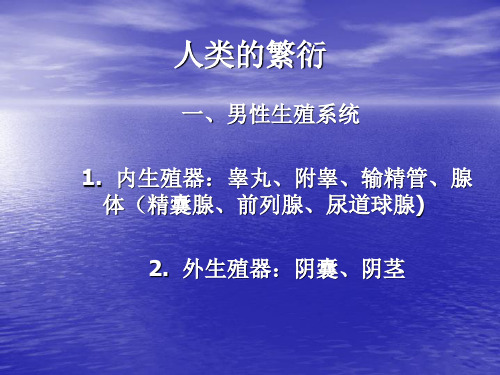 8人类的繁衍