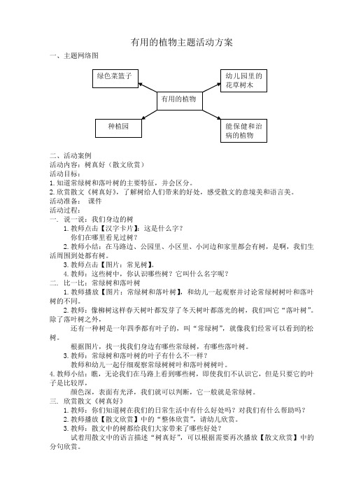 有用的植物主题活动方案