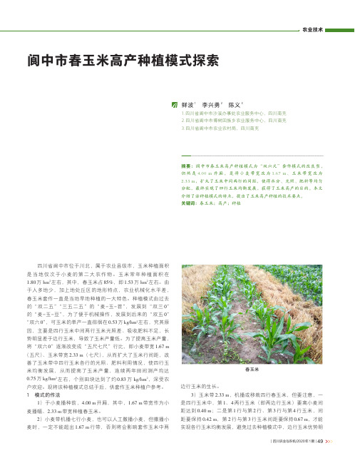 阆中市春玉米高产种植模式探索