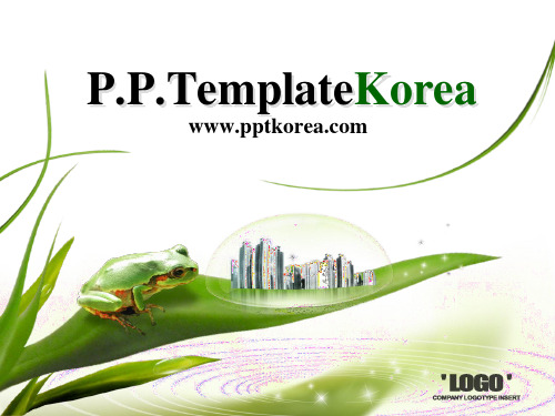 PPTKOREA动画模板 (11)