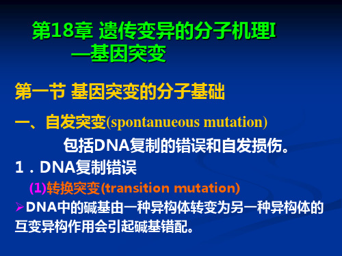 南开大学遗传学-18遗传变异的分子机理-基因突变