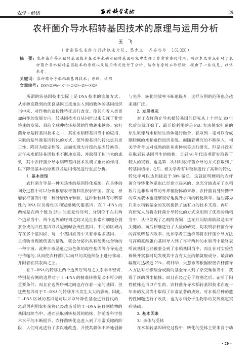 农杆菌介导水稻转基因技术的原理与运用分析