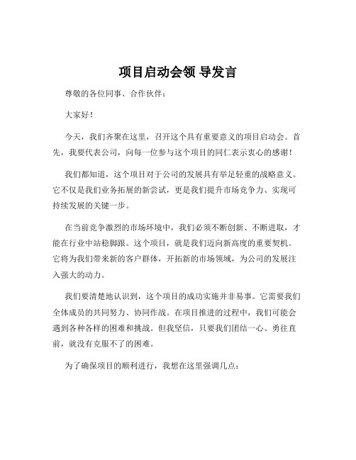 项目启动会领 导发言