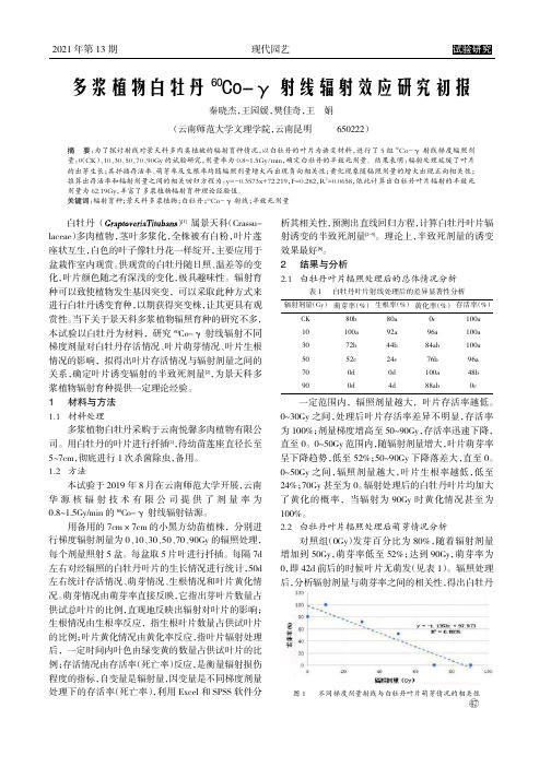 多浆植物白牡丹^(60)Co-γ射线辐射效应研究初报