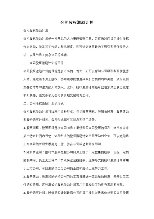 公司股权激励计划