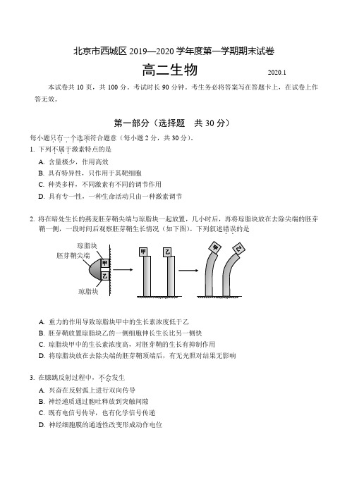 北京市西城区2019-2020学年度第一学期期末高二生物(带答案)