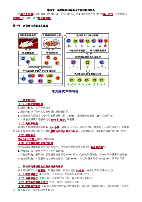 第四章 单克隆抗体与基因工程抗体的制备