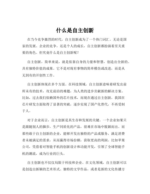 什么是自主创新