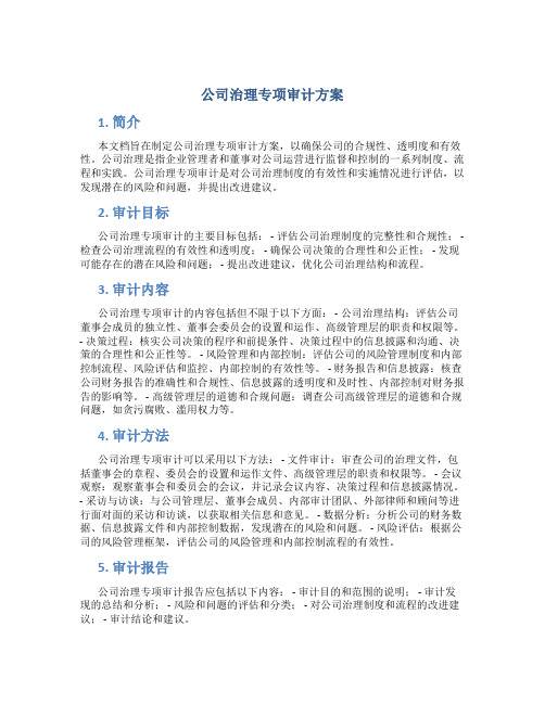 公司治理专项审计方案