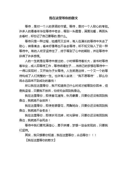 我在这里等你的散文