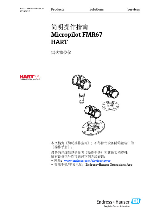 Micropilot FMR67 HART 雷达物位仪 简明操作指南说明书