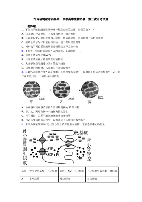 河南省鹤壁市淇县第一中学高中生物必修一第三次月考试题