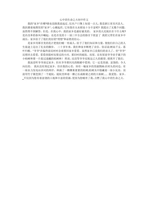心中的生命之火初中作文