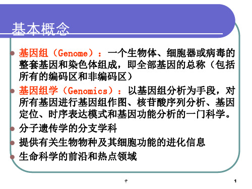 基因组学__遗传作图物理图PPT演示课件