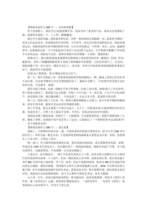 寒假见闻作文800字-寒假见闻的作文800字,寒假作文