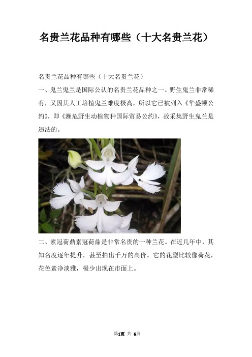 名贵兰花品种有哪些（十大名贵兰花）