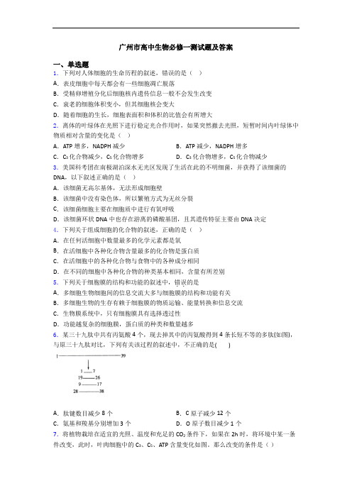 广州市高中生物必修一测试题及答案