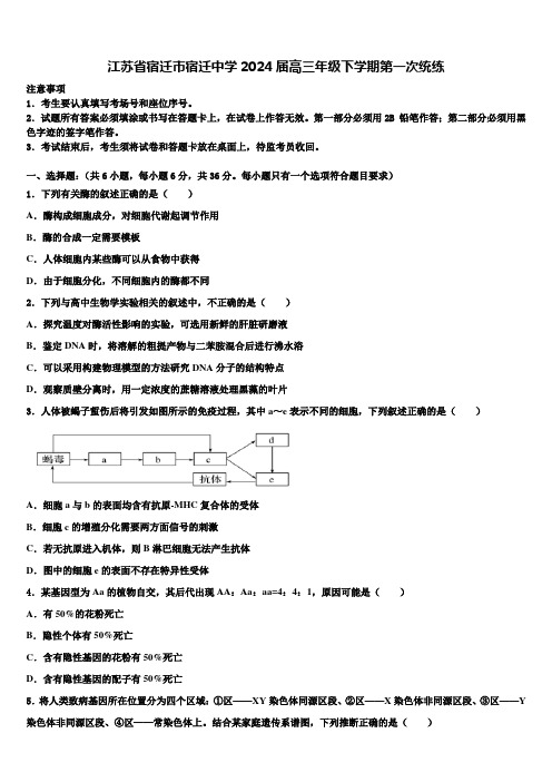 江苏省宿迁市宿迁中学2024届高三年级下学期第一次统练含解析