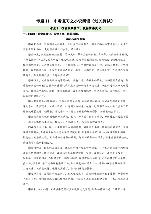 中考语文复习专题11小说阅读-梳理故事情节概括情感变化解析版