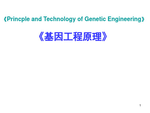 《基因工程》第三章 载体2