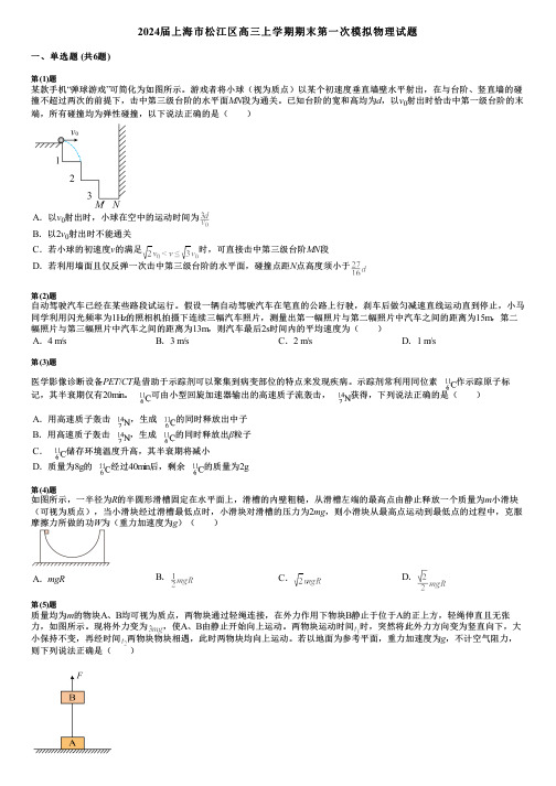 2024届上海市松江区高三上学期期末第一次模拟物理试题