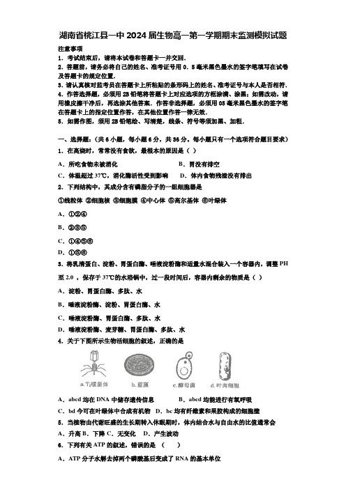 湖南省桃江县一中2024届生物高一第一学期期末监测模拟试题含解析