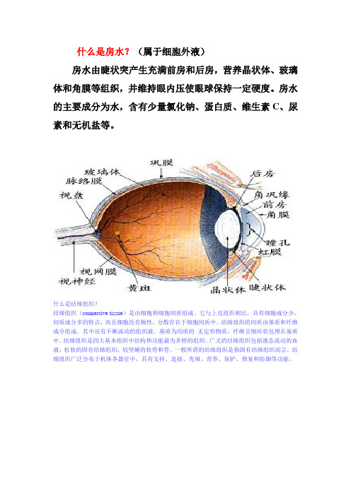 什么是房水？(属于细胞外液)