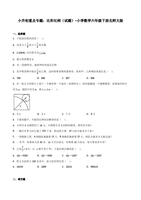 小升初重点专题：比和比例(试题)-小学数学六年级下册北师大版