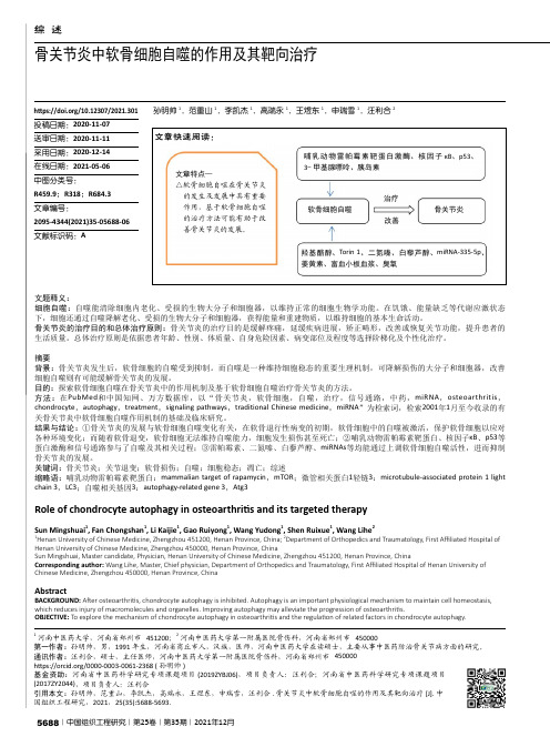 骨关节炎中软骨细胞自噬的作用及其靶向治疗