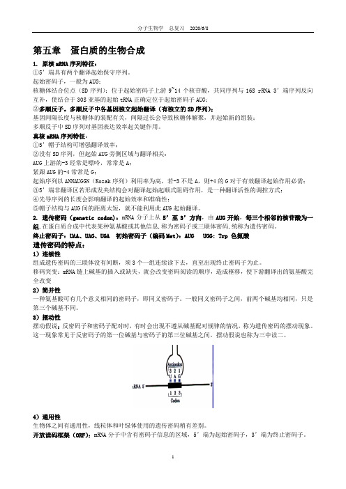 分子生物学2013后四章