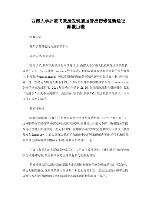 西南大学罗凌飞教授发现脑血管损伤修复新途径,颠覆巨噬细胞认知