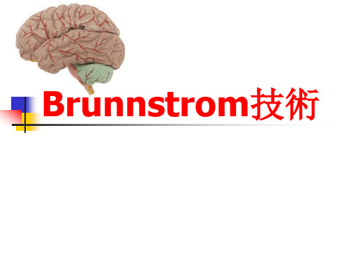 Brunnstrom技术 PPT课件