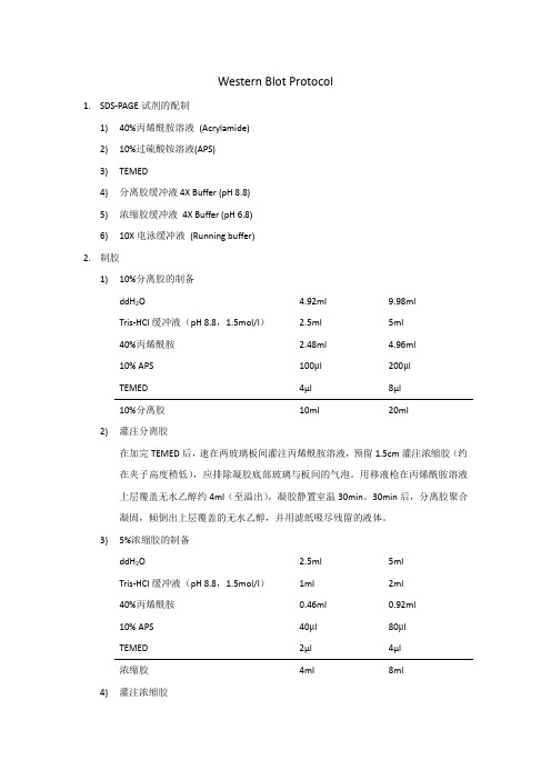 Western Blot Protocol