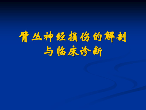 臂丛神经损伤的临床表现及诊断