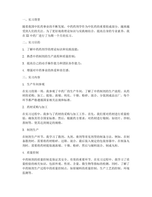 中药药剂实习报告范文