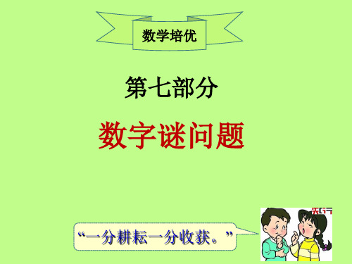 小学数学培优：数字谜问题 数字谜综合二