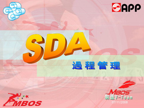 SDA 执行过程及报告制作ppt课件