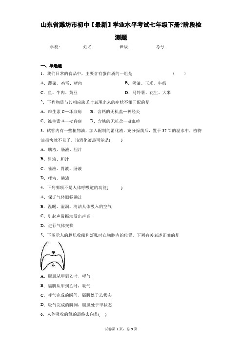 山东省潍坊市初中2021年学业水平考试七年级下册阶段检测题