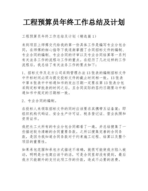 工程预算员年终工作总结及计划