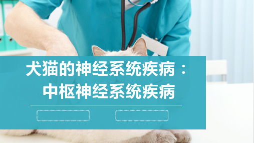 犬猫的神经系统疾病(中枢神经系统疾病)-宠物医生课件