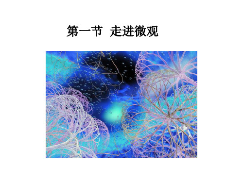 新沪科版八年级物理全一册《十一章 小粒子与大宇宙  第一节 走进微观》课件_10