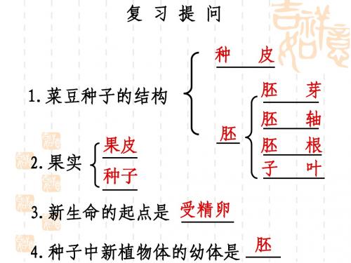 开花和结果(讲课课件)