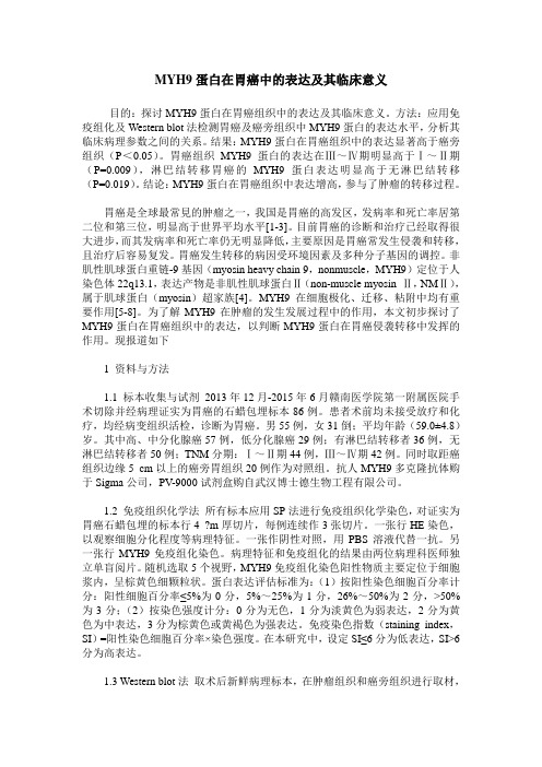 MYH9蛋白在胃癌中的表达及其临床意义