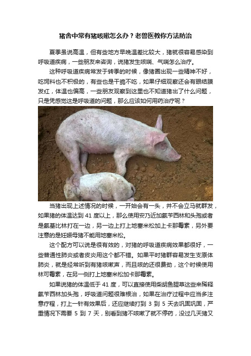 猪舍中常有猪咳嗽怎么办？老兽医教你方法防治