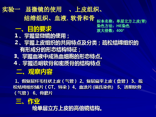 实验一  上皮组织、结缔组织、血液、软骨与骨(检专)